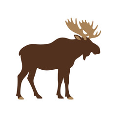 Obraz premium A brown moose silhouette with large antlers on white