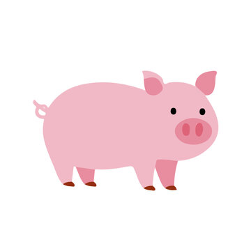Pig, 2D flat vector illustration, simple and modern style, isolated on a plain white background.