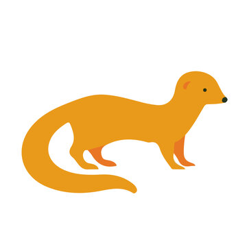 2D flat vector illustration of Mongoose, designed in a clean icon style and isolated on a white background.