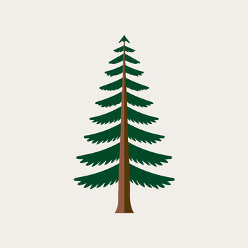 Flat 2D vector illustration of Sequoia Tree, simple icon style on a clean white background.