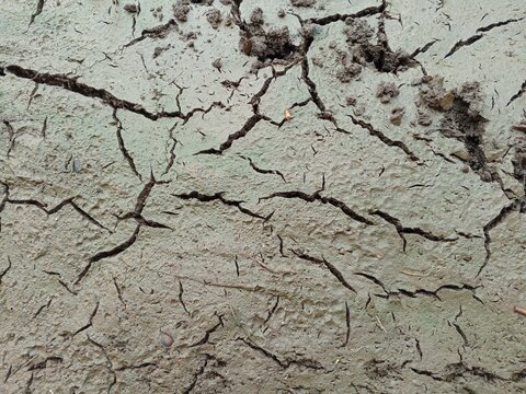 Soil with this cracked pattern is often found at the bottom of ponds that are dry due to lack of water.