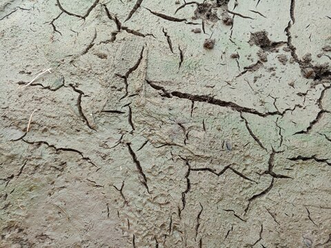 Soil with this cracked pattern is often found at the bottom of ponds that are dry due to lack of water.