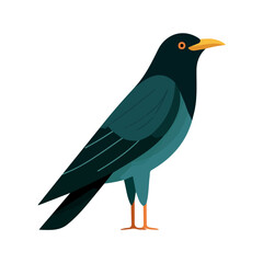 Fototapeta premium Koel, 2D flat vector illustration, simple and modern style, isolated on a plain white background.
