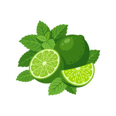 Fresh green lime slices and mint leaves on white background © narvian