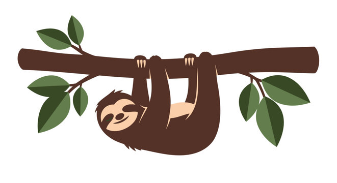 Cute Sloth Hanging from Tree Branch Vector Illustration