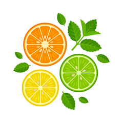 Fresh citrus fruit slices with green mint leaves on white © yewes