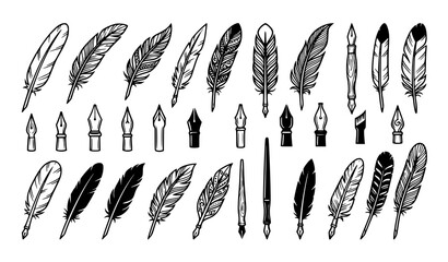 Collection of quill pens and feather illustrations © Nirob