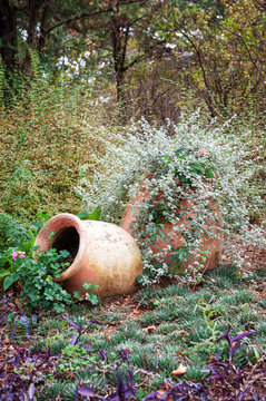 Terracotta planter enhances rustic garden