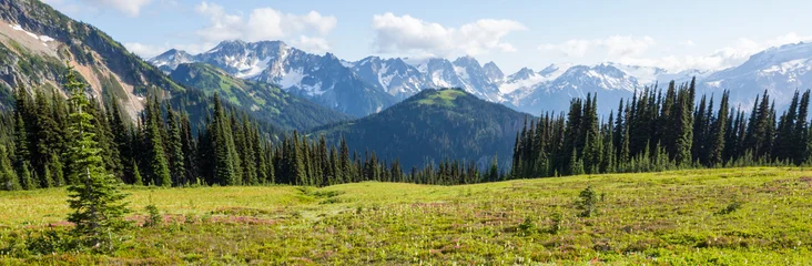 Mountains in Washington © Galyna Andrushko