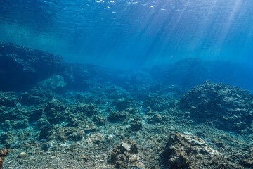 Fototapeta premium Sunlight Filtering Through Tropical Ocean Water