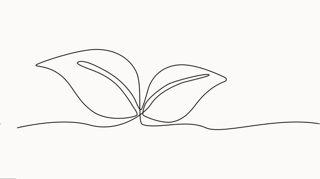 leaf continuous one line drawing animation, Sprout, one-line drawing animation. Animation Video, motion graphic, leaf continuous one-line drawing on white background.