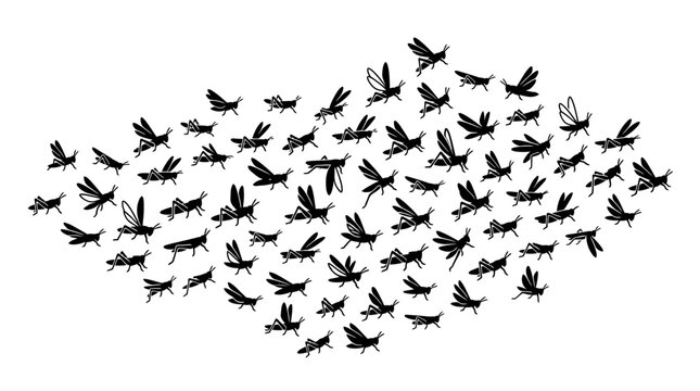 Swarm of Grasshoppers Flying, Silhouette Collection, Insect Migration