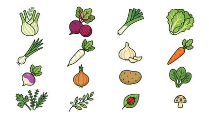 Fototapeta premium Flat line vegetable icons set, 16 organic garden food vector illustrations, fresh produce and root vegetables for culinary menu design