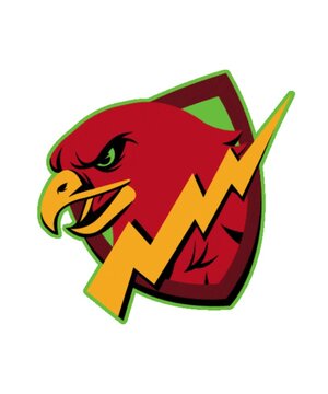 eagle head logo