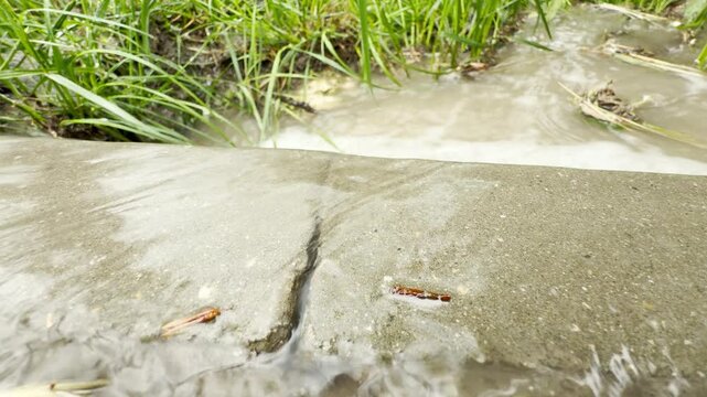 muddy rainwater rushes across a concrete curb and streams down a narrow crack. The heavy runoff flows forcefully into a flooded grassy ditch. This rapid movement creates a continuous sloshing sound.