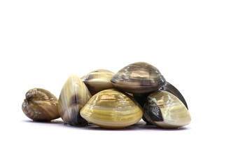 Closed up fresh baby clams. venus shell. shellfish. carpet clams. short necked clams. as raw food from the sea are the seafood ingredients. fresh clams isolated on white background © Pisan