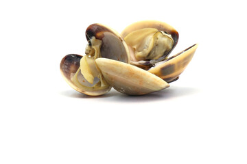 Closed up fresh baby clams. venus shell. shellfish. carpet clams. short necked clams. as raw food from the sea are the seafood ingredients. fresh clams isolated on white background © Pisan