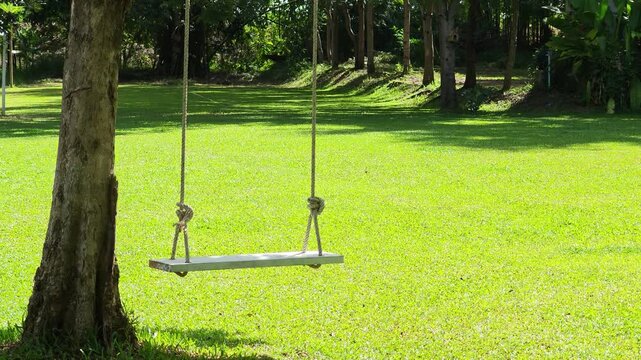 A swing in a garden with a grassy area.