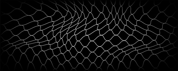 Fishing or soccer net. Repeated hexagon pattern. Black wired mesh texture isolated on white background.ilustrasion modern. © Aldi mustofa
