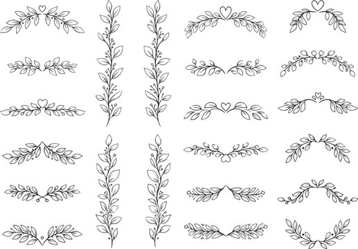 Hand drawn botanical floral dividers and borders collection.