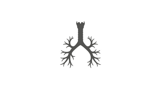 Human Bronchial Tree Vector Illustration