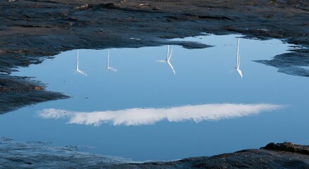 Fototapeta premium Reflection of wind turbines and clouds in a muddy puddle (1)