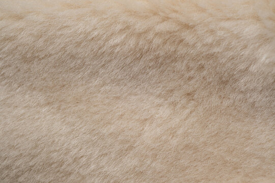 Warm soft fluffy beige light brown texture of cozy faux fur fabric material closeup view