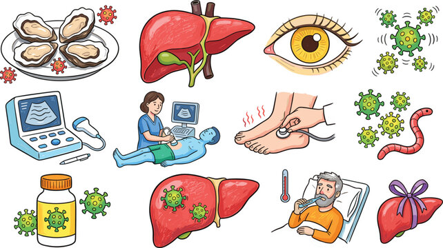 Medical infographics elements set with liver anatomy disease diagnosis ultrasound examination hepatitis virus symptoms vector illustration