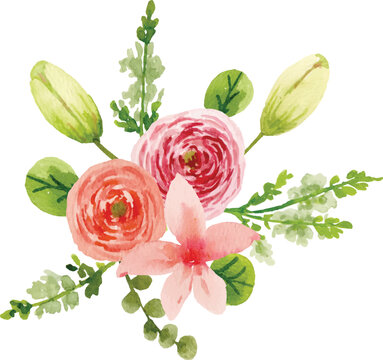 watercolor pink ranuncullus with casablanca lilly bud arrangement bouquet illustration vector 