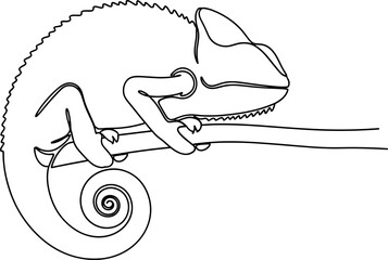 Chameleon on Branch Continuous Line Drawing © Indah