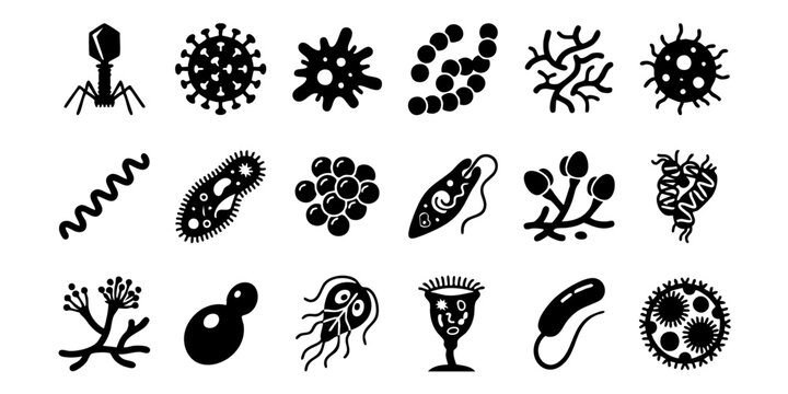 Microscopic view of various microorganisms and cells in a laboratory setting with several types of bacteria.