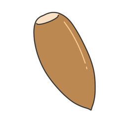 Konara oak acorn without cap/帽子のないコナラのどんぐり