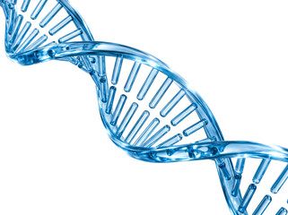 Blue Glass DNA Double Helix Strand on Transparent Background, 3D Render DNA Molecule Model for Medical and Science Research, Futuristic Biotech Gene Structure Design Element Cutout PNG © Lazim