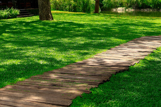 path in the park