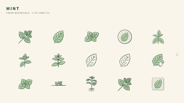 Editorial mint green leaf vector icon grid &ndash; Ideal for skincare logos, cocktail menus, or aromatherapy designs.