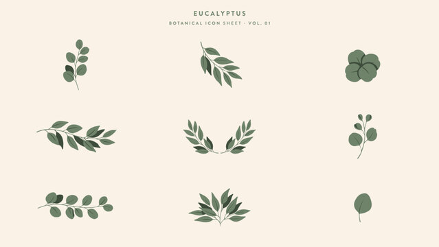 Premium eucalyptus leaf reference vector icon grid &ndash; Ideal for boutique branding, pharmacy logos, or clean beauty web design.