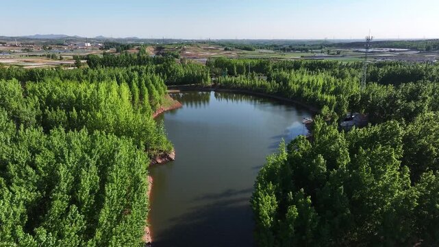 Aerial view of an artificial lake surrounded by lush green trees in rural landscape