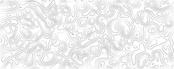 Fototapeta premium Topographic map contour lines pattern, abstract grey wavy lines on a white background, cartographic elevation landscape texture