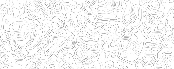 Abstract topographic map pattern with thin, flowing grey contour lines on a white background, creating a fluid, organic, and layered texture reminiscent of geographical elevation charts © VxGFX