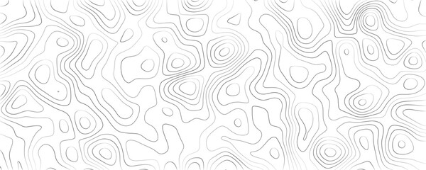 Obraz premium Topographic map contour lines pattern, abstract grey wavy lines on a white background, topography