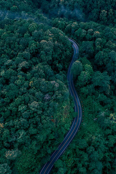 Aerial Forest Highway Through Green Mountains for ESG Sustainability and Net Zero Strategy
