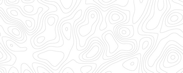 Topographic map contour lines, abstract grey wavy lines on a white background, geographic elevation pattern, cartographic terrain representation, linear landscape texture © VxGFX