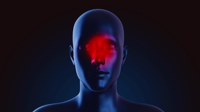 Medical illustration of human head showing sinus inflammation as red glow pain anatomy health congestion sinusitis pain anatomy health congestion sinusitis