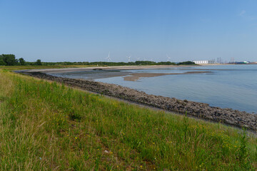 Fototapeta premium Sommerzeit in Zeeland an der holländischen Küste