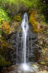 Fototapeta premium waterfall in the forest