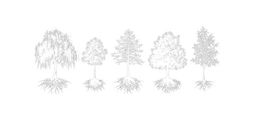 Obraz premium CAD tree section line drawing set, side view small landscape trees with roots and grass for architecture design vector illustration