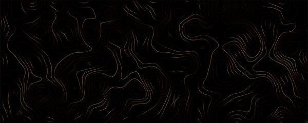 Topographic map contour lines, abstract gold linear pattern on black background, geographic elevation lines © BiSMiLLAH