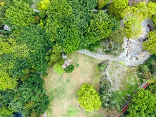 Aerial View of Urban Park with Green Trees and Open Lawn © zhouyilu
