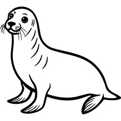 Fototapeta premium Cute cartoon seal illustration, black and white line art for coloring book