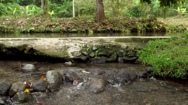 Small concrete irrigation dam with clear river water flowing in a rural Southeast Asian forest, representing traditional water management and agricultural infrastructure.
